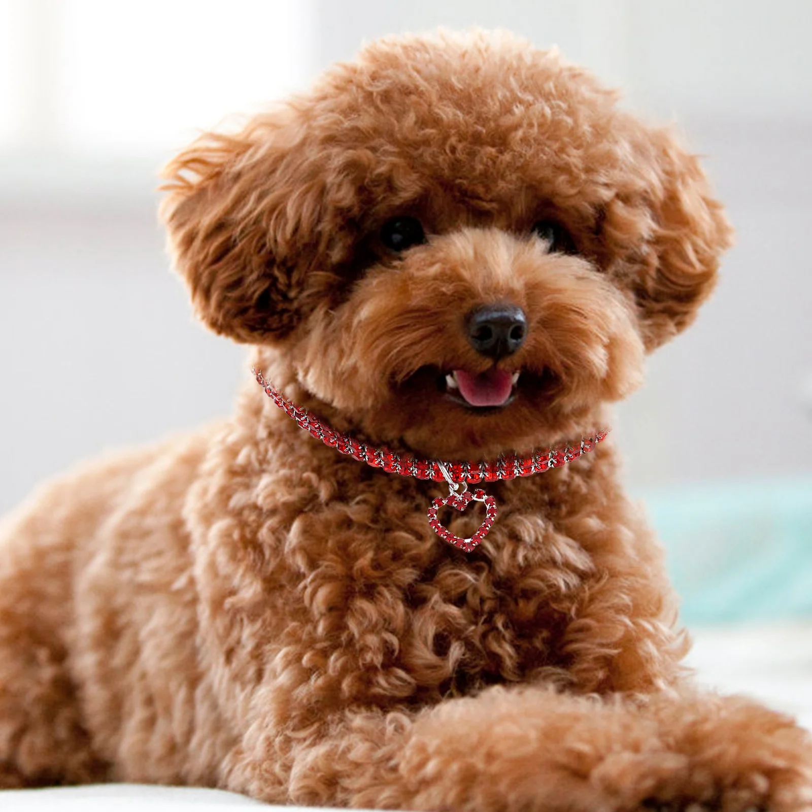 Heart Pendant Dog Collar Rhinestone Necklace for Puppy Cat Adjustable Elastic Chain Pet Necklaces Durable Reusable
Heart Pendant Dog Collar Rhinestone Necklace for Puppy Cat Adjustable Elastic Chain Pet Necklaces Durable Reusable