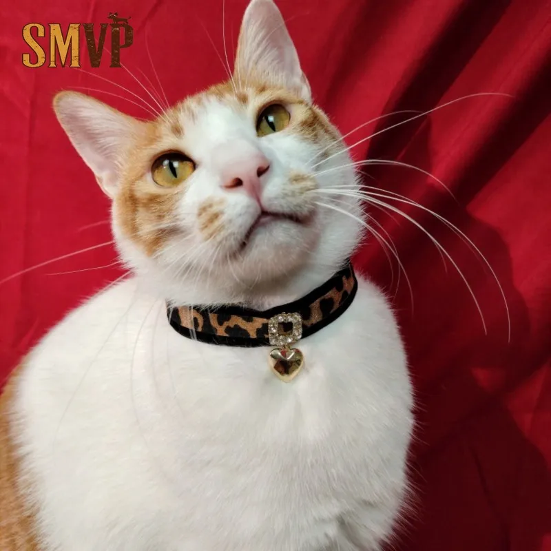 Original Design Leopard Print Choker Velvet Material Love Pendant Sexy Cute Style Pet Kitten Puppy Necklace Collar
Original Design Leopard Print Choker Velvet Material Love Pendant Sexy Cute Style Pet Kitten Puppy Necklace Collar