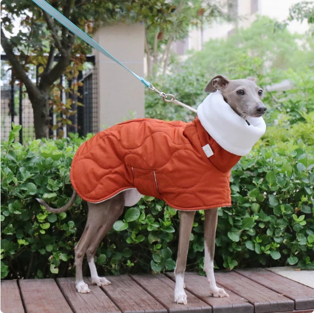 Новая зимняя куртка Whippet Italian Greyhound Bellington на хлопковой подкладке с поясом, накидка, теплая утолщенная одежда для собак
Новая зимняя куртка Whippet Italian Greyhound Bellington на хлопковой подкладке с поясом, накидка, теплая утолщенная одежда для собак