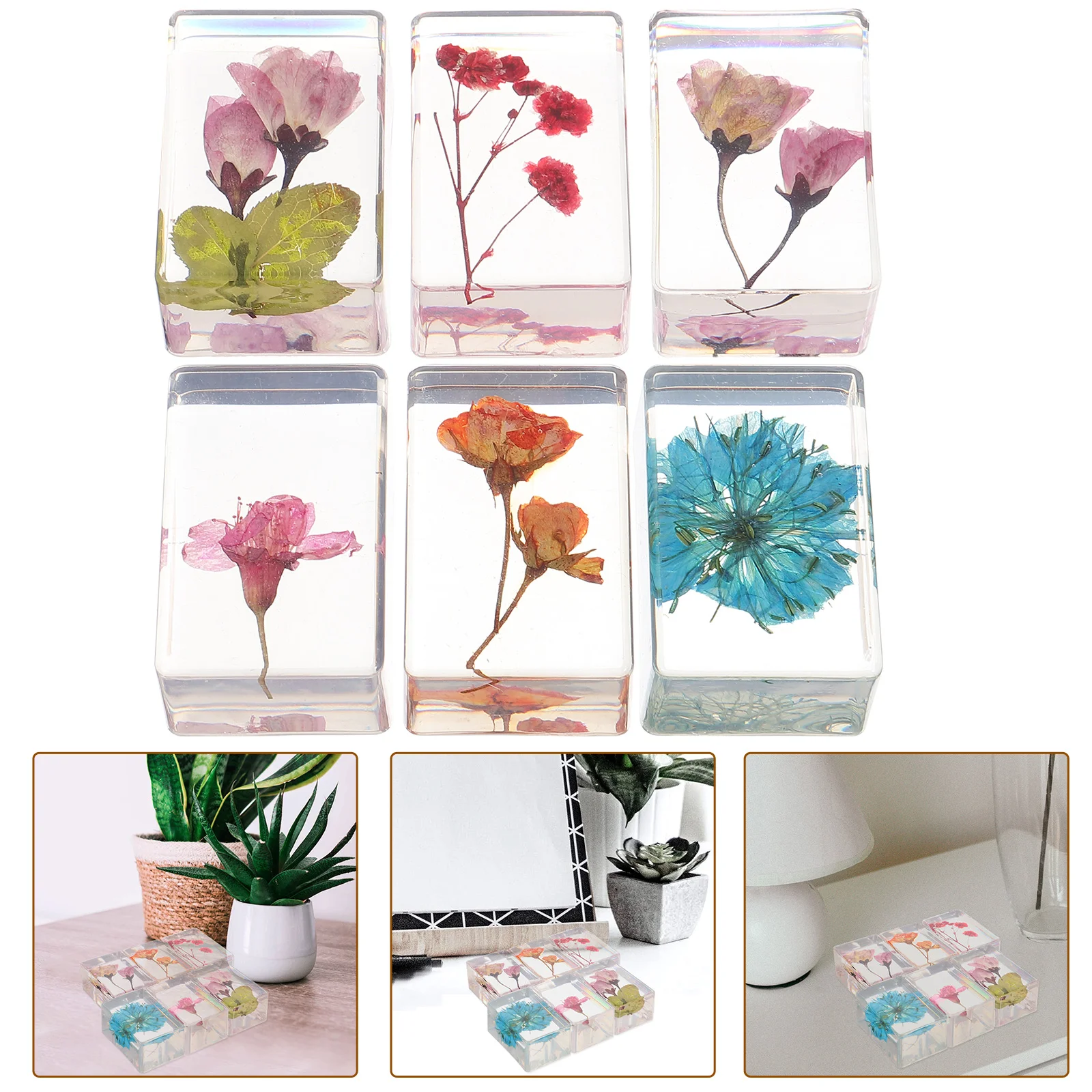 6 Pcs Faux Plant Handmade Glue Resin Dried Flower Book Pen Transparent Amber Specimen Crafts Flowers Artificial Plants Travel
6 Pcs Faux Plant Handmade Glue Resin Dried Flower Book Pen Transparent Amber Specimen Crafts Flowers Artificial Plants Travel