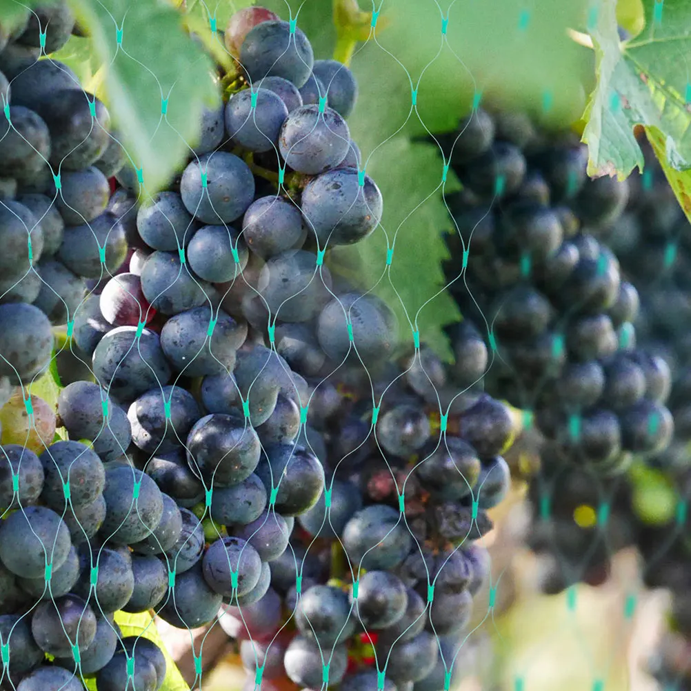 Anti Bird Net Garden Netting Heavy Duty Protective Mesh Fine Plant Vegetable Plants 
Anti Bird Net Garden Netting Heavy Duty Protective Mesh Fine Plant Vegetable Plants