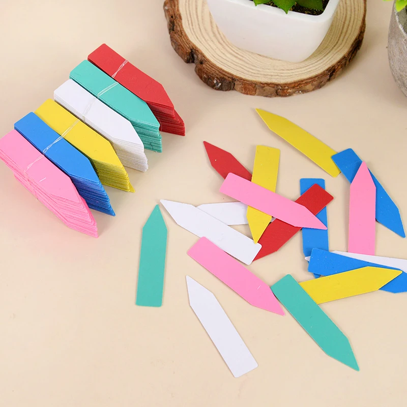 100pc PVC Garden Plant Labels Plant Accessories Flower Pots Plant Tags Nursery Markers Seedling Labels Tray Mark Diy Tools Decor
100pc PVC Garden Plant Labels Plant Accessories Flower Pots Plant Tags Nursery Markers Seedling Labels Tray Mark Diy Tools Decor