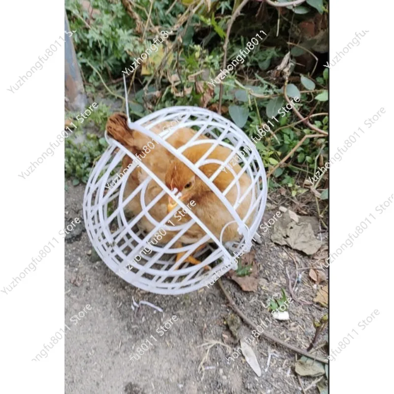Plastic spherical chicken cage round rabbit cage farm scenic spot walking chicken new cut rolling protective cage
Plastic spherical chicken cage round rabbit cage farm scenic spot walking chicken new cut rolling protective cage