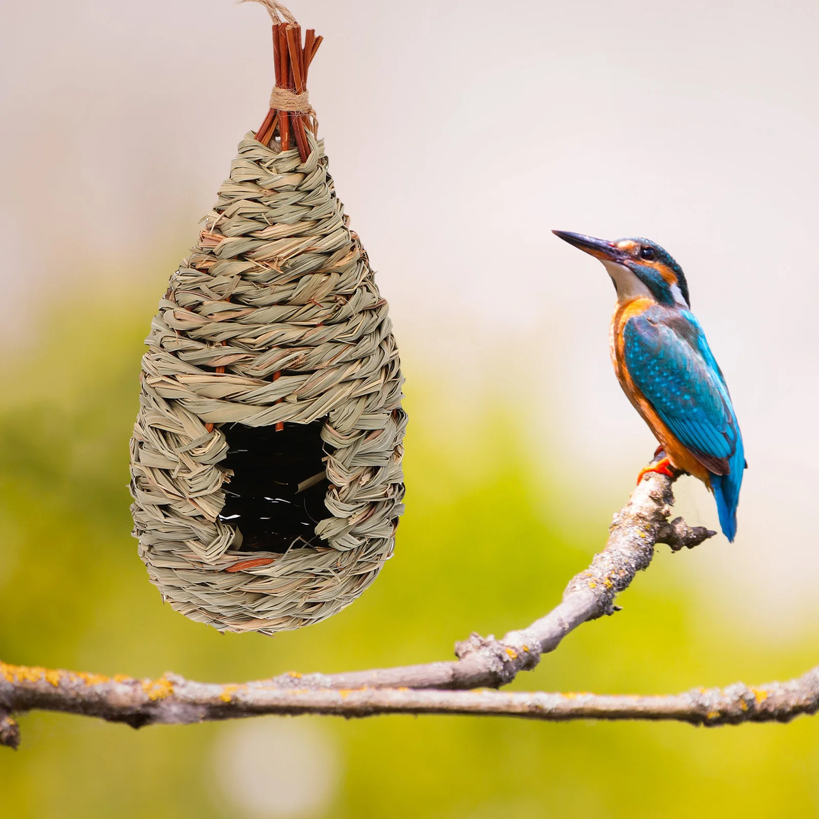 2Pcs Grass Handwoven Bird Nest Straw Birdhouse Durable Hanging Breeding Nest for Birds Outdoor Bird Resting Site
2Pcs Grass Handwoven Bird Nest Straw Birdhouse Durable Hanging Breeding Nest for Birds Outdoor Bird Resting Site
