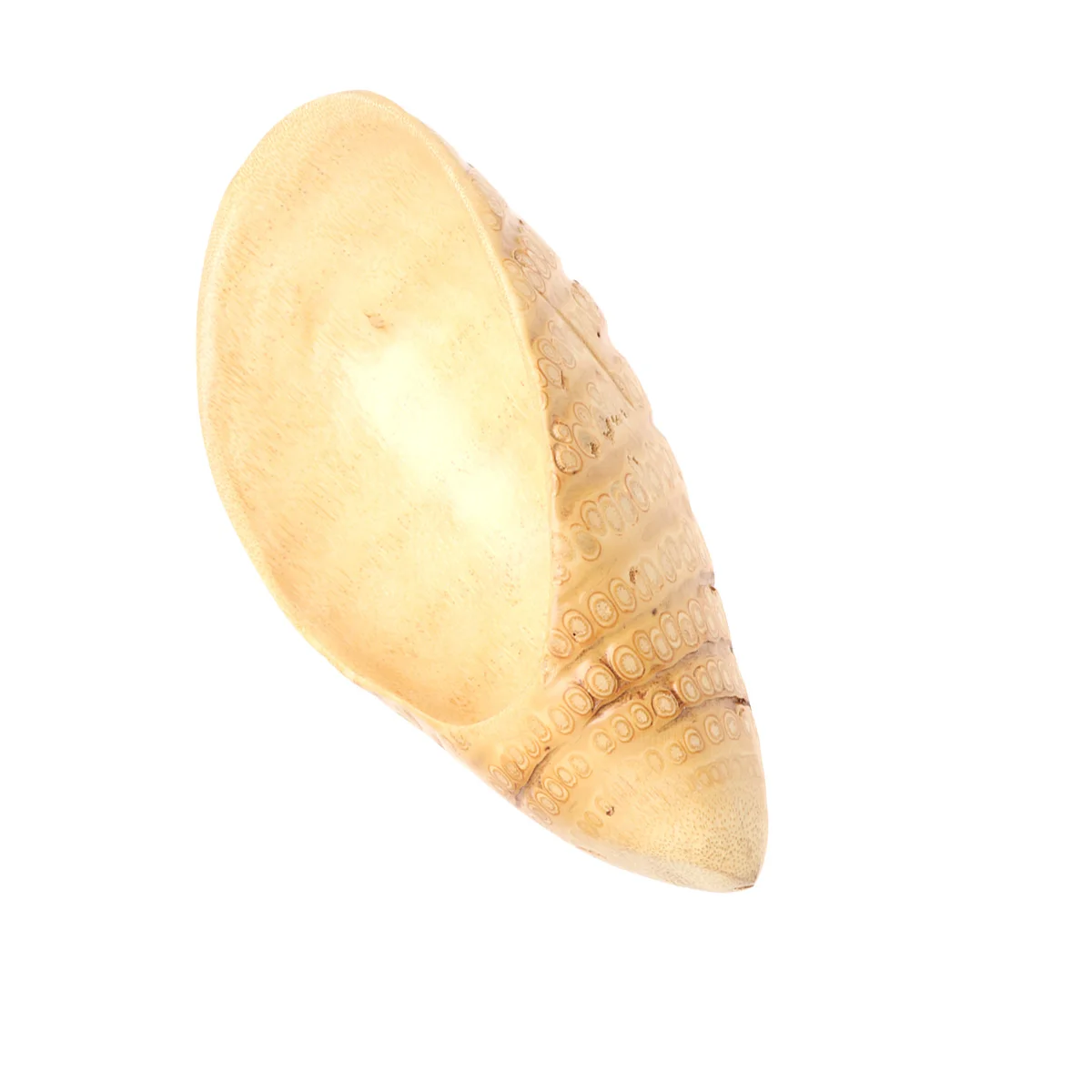 Bamboo Root Fruit Tray Creative Food Dish Cookie Plate Dessert Saucer Material Serving Platter Tropical
Bamboo Root Fruit Tray Creative Food Dish Cookie Plate Dessert Saucer Material Serving Platter Tropical