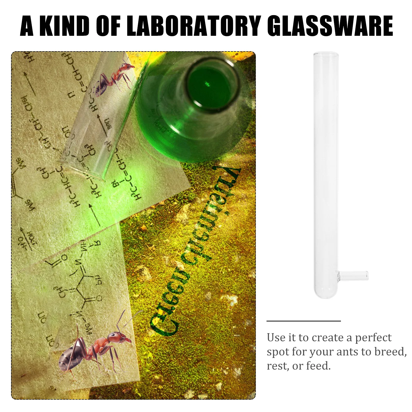 5 шт., трубки для разведения муравьев из боросиликатного стекла, боковая трубка, устойчивая к высоким температурам для домашних животных, гнездо для разведения муравьев, гнездо для трубки для разведения муравьев
5 шт., трубки для разведения муравьев из боросиликатного стекла, боковая трубка, устойчивая к высоким температурам для домашних животных, гнездо для разведения муравьев, гнездо для трубки для разведения муравьев