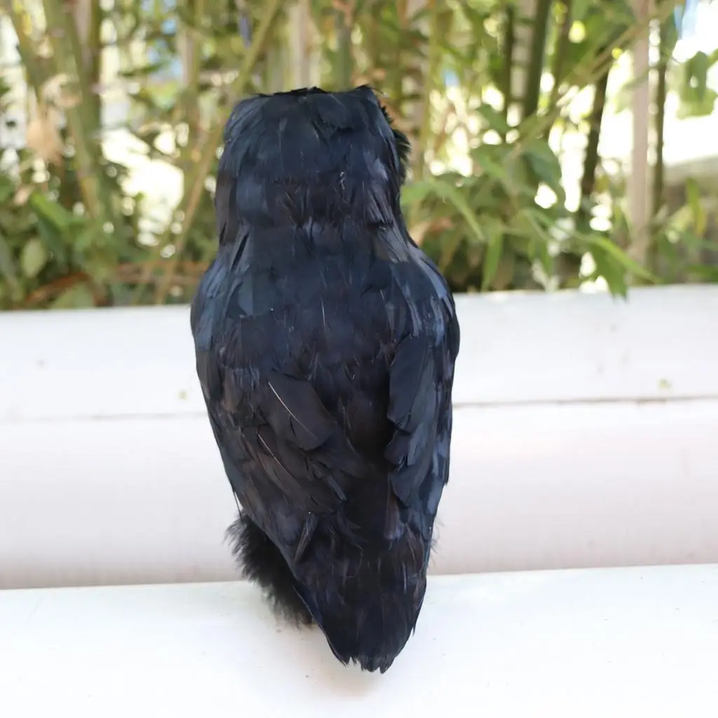 Artificial Feather Black Owl Figurine, Realistic Feathered Owl Statue for Garden
Artificial Feather Black Owl Figurine, Realistic Feathered Owl Statue for Garden