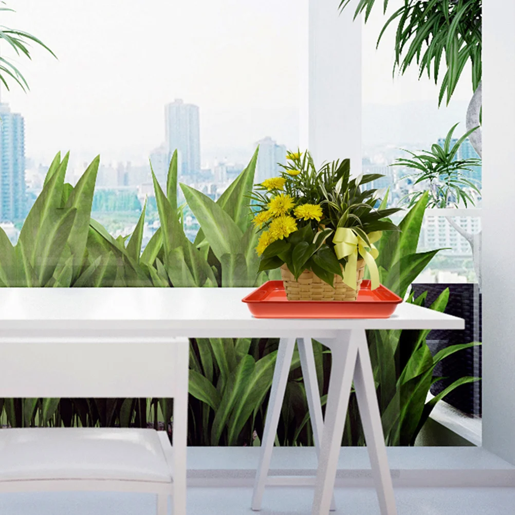 15Pcs Fine Workmanship Plastic Plant Saucers Flower Pot Trays for Indoor and Outdoor Plant Trays for Indoors Flower Pot Saucers
15Pcs Fine Workmanship Plastic Plant Saucers Flower Pot Trays for Indoor and Outdoor Plant Trays for Indoors Flower Pot Saucers