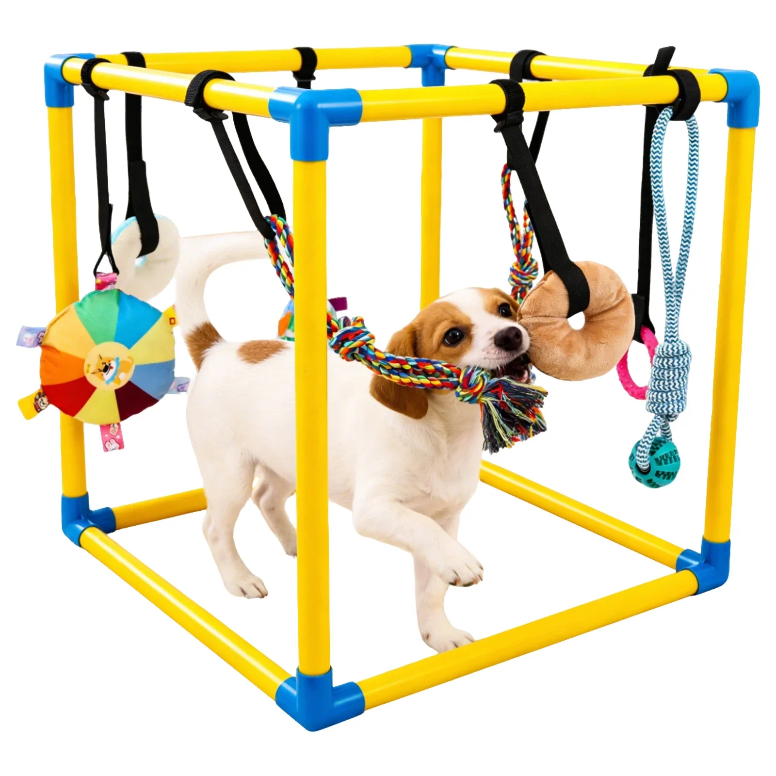 Puppy Play Gym with 8 Hanging Toys Interactive Indoor Jungle Gym PVC Frame with Adjustable Elastic Straps Little Puppy Teethin
Puppy Play Gym with 8 Hanging Toys Interactive Indoor Jungle Gym PVC Frame with Adjustable Elastic Straps Little Puppy Teethin
