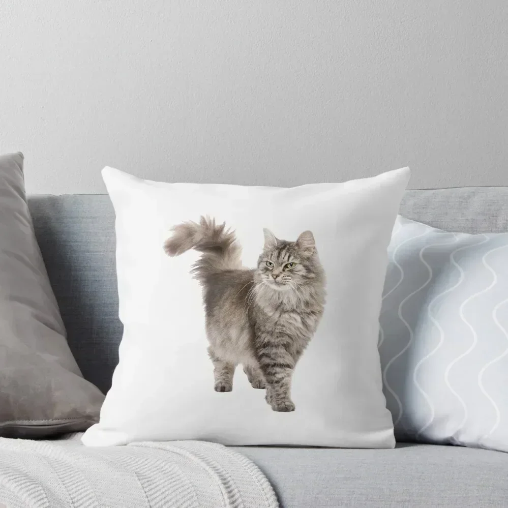 Siberian Cat Throw Pillow Pillowcases luxury home accessories Cushion Cover Luxury pillow
Siberian Cat Throw Pillow Pillowcases luxury home accessories Cushion Cover Luxury pillow