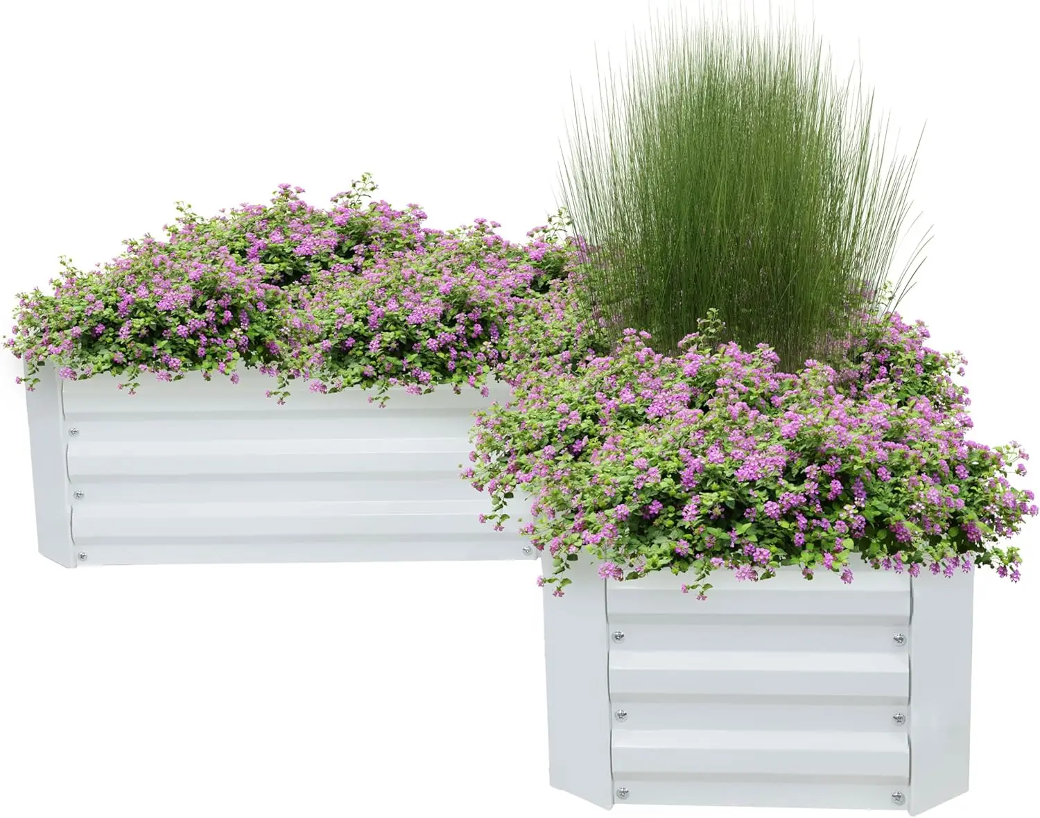 Galvanized Metal Raised Garden Bed Planter Box for Plants, Vegetables, Flowers
Galvanized Metal Raised Garden Bed Planter Box for Plants, Vegetables, Flowers