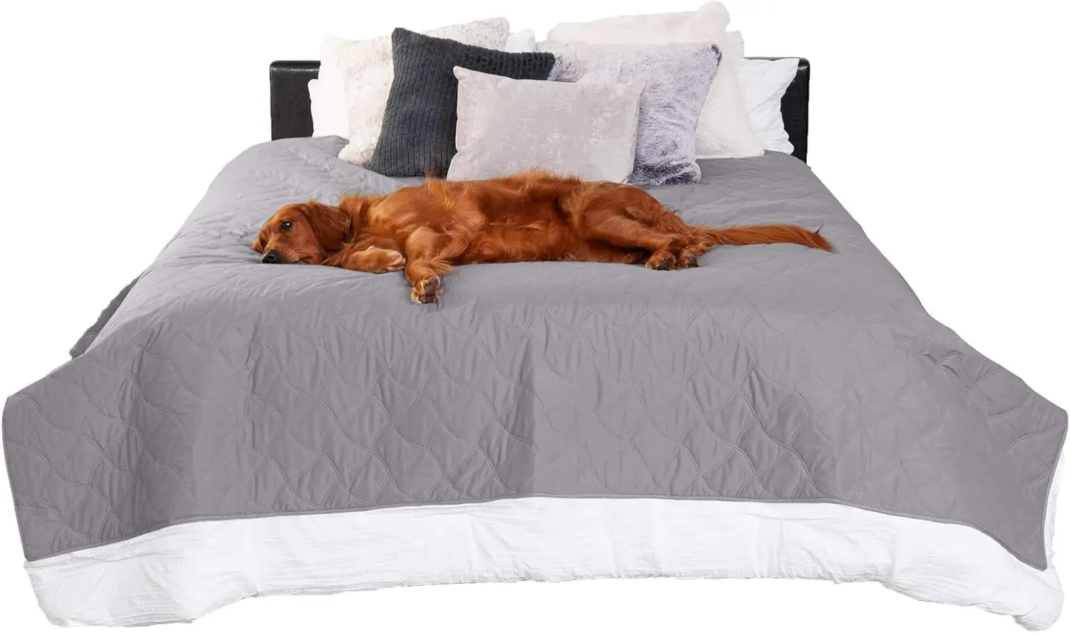Waterproof & Non-Slip King Size Mattr Cover Protector For Dogs & Cats, Washable, For Beds, Couches, & Car Seats - Quilted Twill
Waterproof & Non-Slip King Size Mattr Cover Protector For Dogs & Cats, Washable, For Beds, Couches, & Car Seats - Quilted Twill