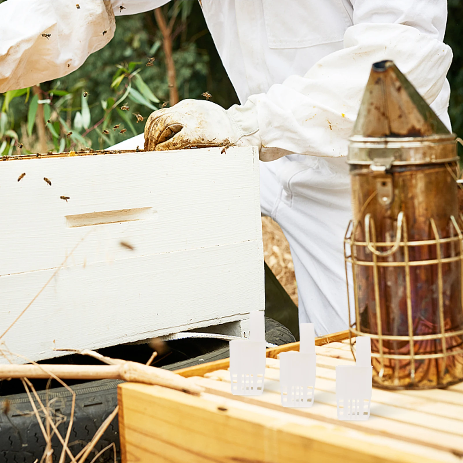 10 Pcs Cages Plastic Beekeeping Supplies Hive Inspection Durable Lightweight Storage Breeding Tools
10 Pcs Cages Plastic Beekeeping Supplies Hive Inspection Durable Lightweight Storage Breeding Tools