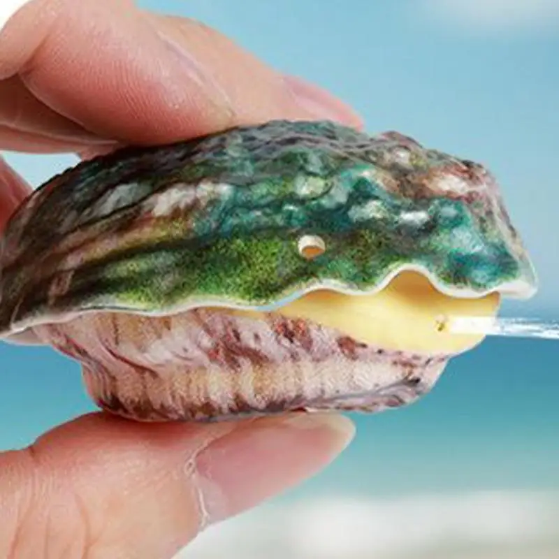 water Sprinkler for Kids Realistic Shell Mist Sprayer Beach Toy Shell-Shaped Push-Type Pranks Toy Fun Novelty Beach Activities
water Sprinkler for Kids Realistic Shell Mist Sprayer Beach Toy Shell-Shaped Push-Type Pranks Toy Fun Novelty Beach Activities