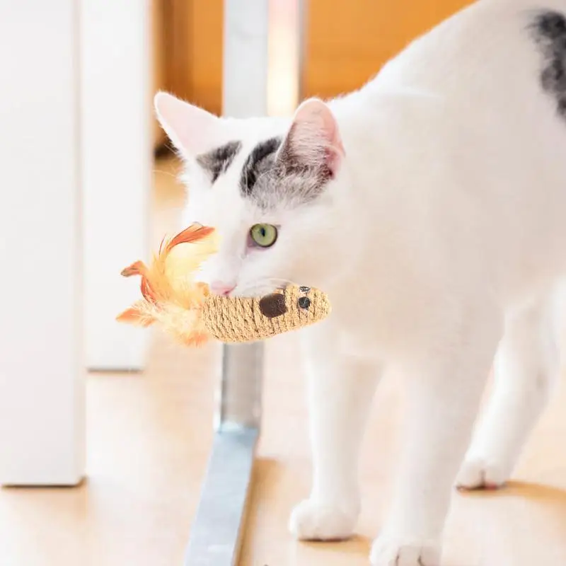 Cat Mice Small Cat Mice Toy With Feather Elastic Cat Enrichment Toys Cat Interactive Feather Toy Squeaky Mice Cat Toy For Cats
Cat Mice Small Cat Mice Toy With Feather Elastic Cat Enrichment Toys Cat Interactive Feather Toy Squeaky Mice Cat Toy For Cats