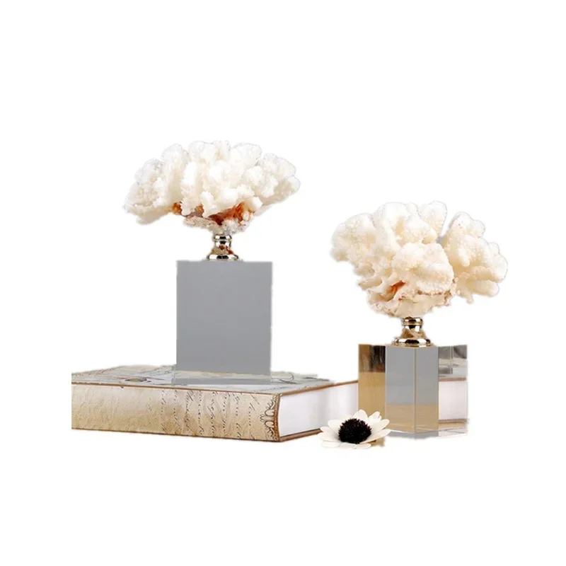 Creative modern style decorations, coral ornaments, minimalist model rooms
Creative modern style decorations, coral ornaments, minimalist model rooms