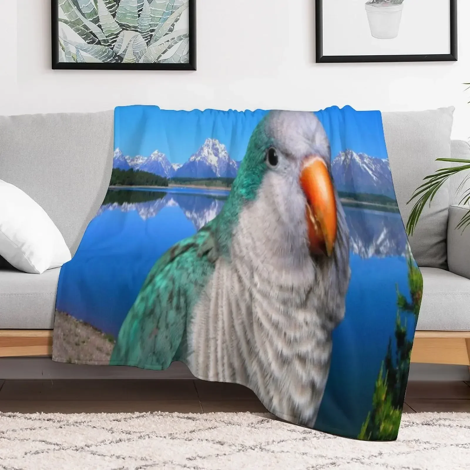 Monk Parakeet Throw Blanket Weighted Soft Plaid Camping Plaid on the sofa Blankets
Monk Parakeet Throw Blanket Weighted Soft Plaid Camping Plaid on the sofa Blankets
