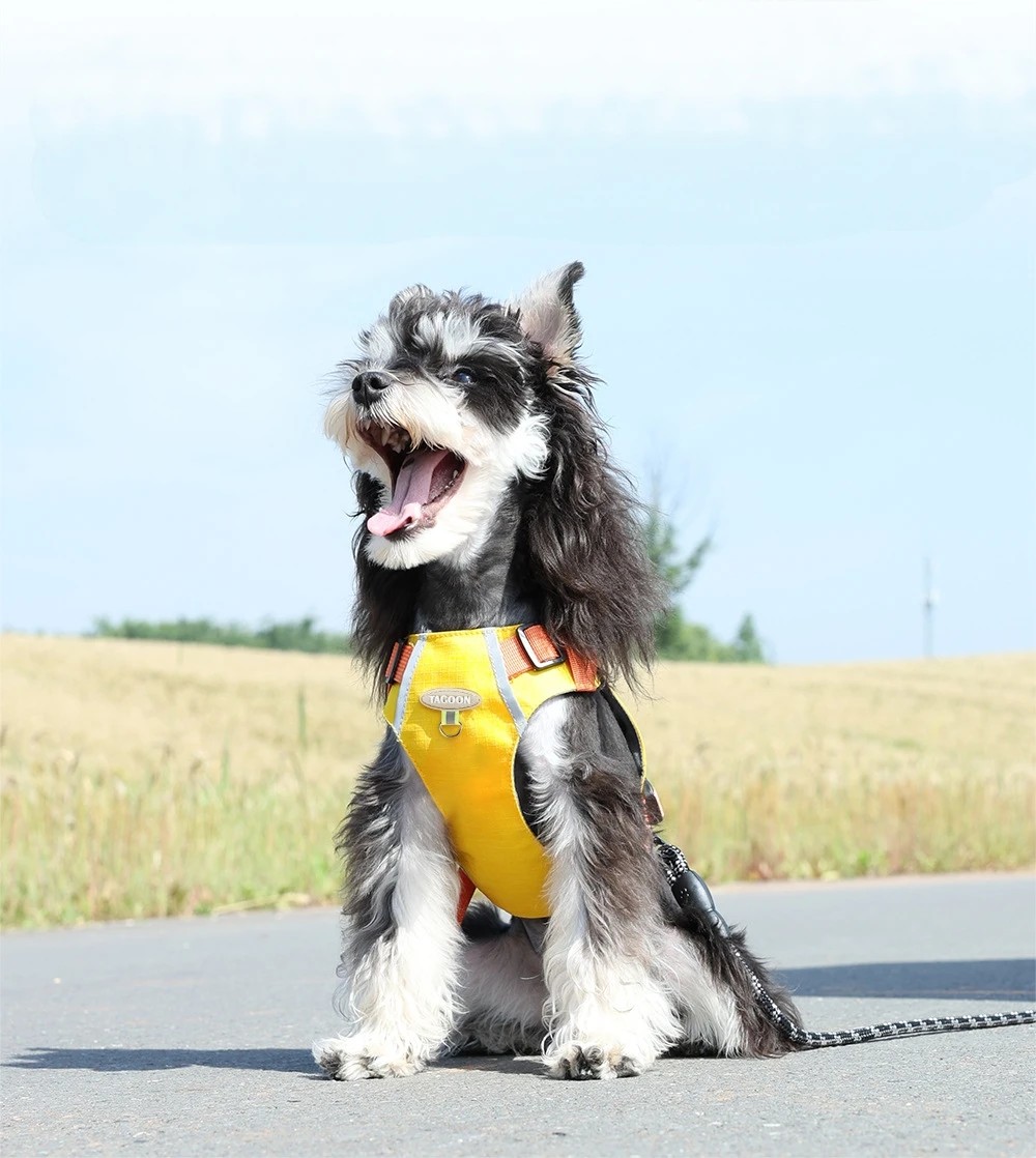 Dog Traction Chest Strap Breathable Waterproof Small And Medium Sized Dog Outdoor Pet Chest Back Dog Walking Traction Rope
Dog Traction Chest Strap Breathable Waterproof Small And Medium Sized Dog Outdoor Pet Chest Back Dog Walking Traction Rope