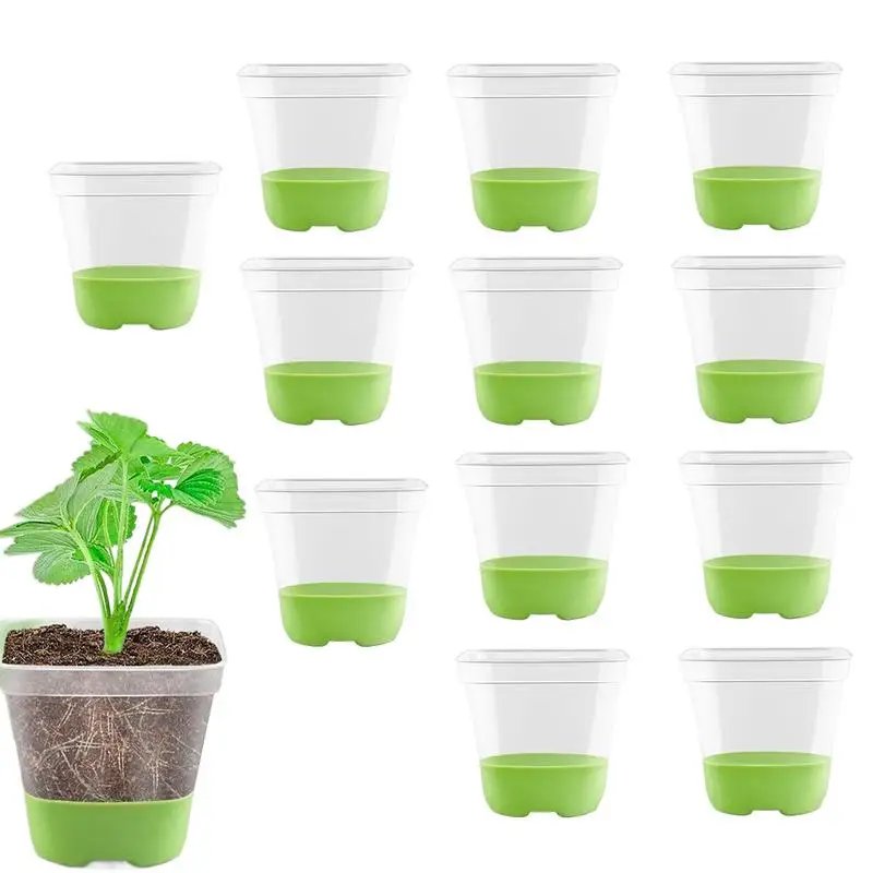 12pcs Clear Nursery Pots Transparent Plastic Planter Seed Starting Pot Flower Plant Contaianter Nursery Starting Tray With Hole
12pcs Clear Nursery Pots Transparent Plastic Planter Seed Starting Pot Flower Plant Contaianter Nursery Starting Tray With Hole