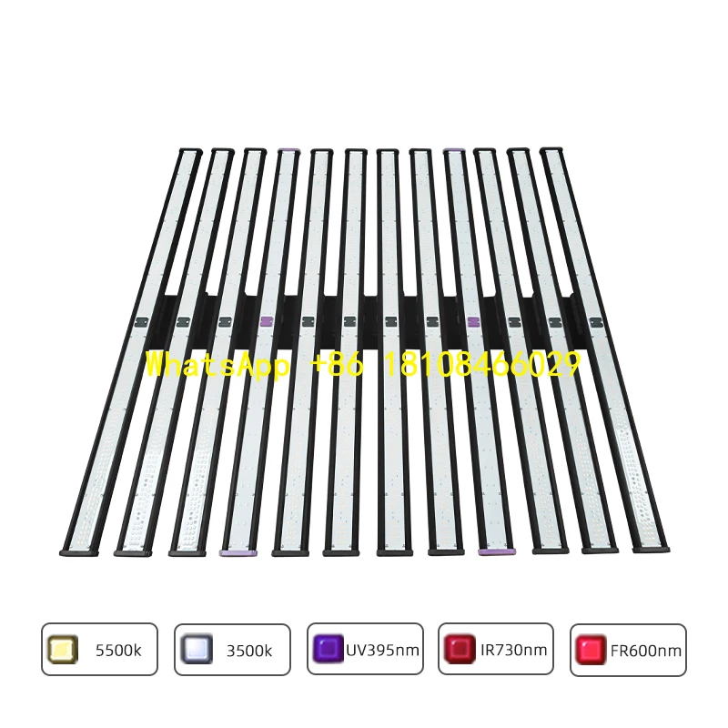 UV IR LM301H for Indoor Plants Aluminum IP65 for BloomLearnew Best 1000W Full Spectrum Plant LED Grow Lights Waterproof
UV IR LM301H for Indoor Plants Aluminum IP65 for BloomLearnew Best 1000W Full Spectrum Plant LED Grow Lights Waterproof