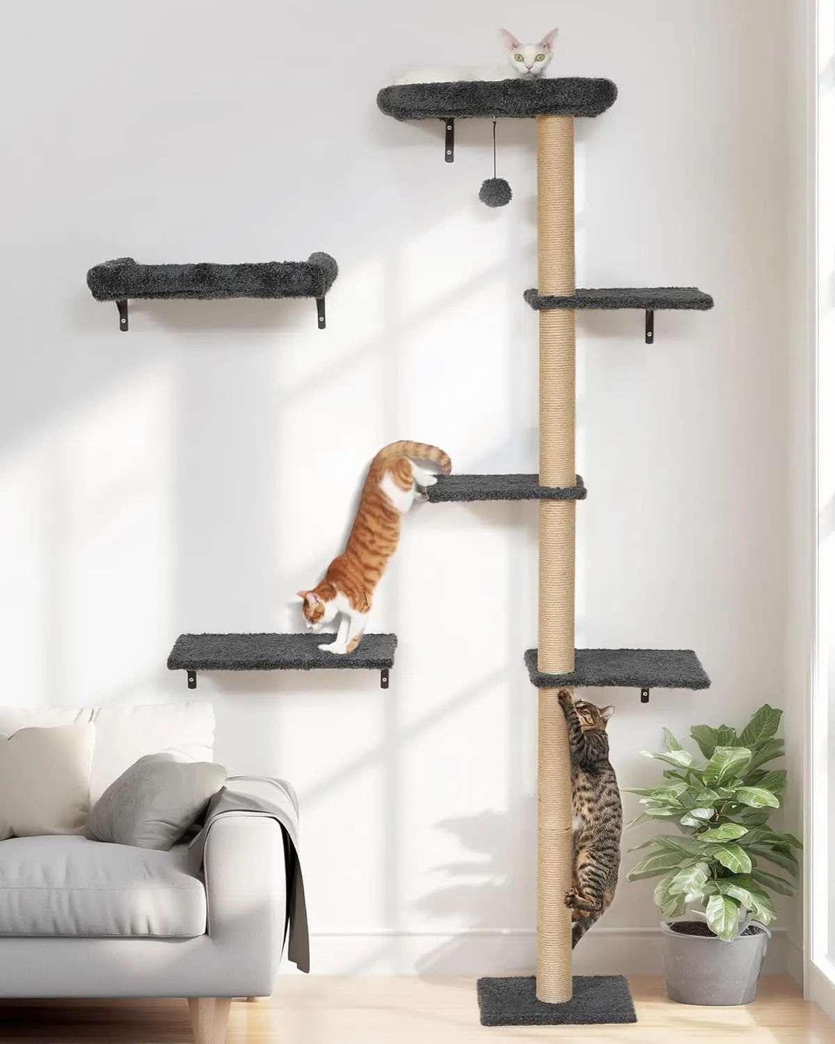 Cat Wall Shelves Set with Cushion Perch, Stable Climbing Furniture for Kittens, Space-Saving Gray Design
Cat Wall Shelves Set with Cushion Perch, Stable Climbing Furniture for Kittens, Space-Saving Gray Design