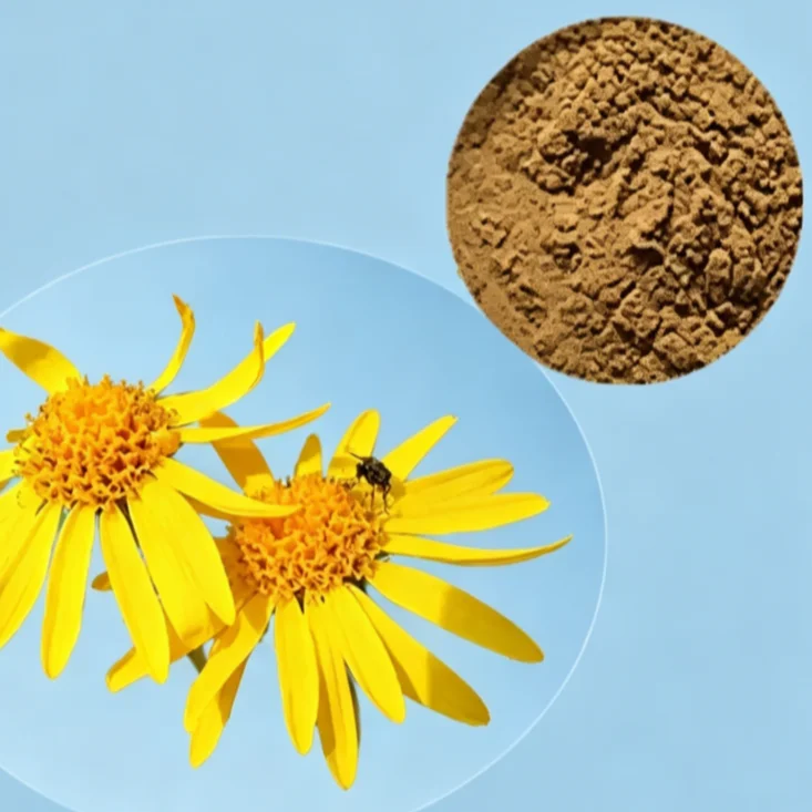 Global Customized 100% Pure Proportion Arnica Montana Extract Aluminum Foil Bag Packing for Global Distributors
Global Customized 100% Pure Proportion Arnica Montana Extract Aluminum Foil Bag Packing for Global Distributors