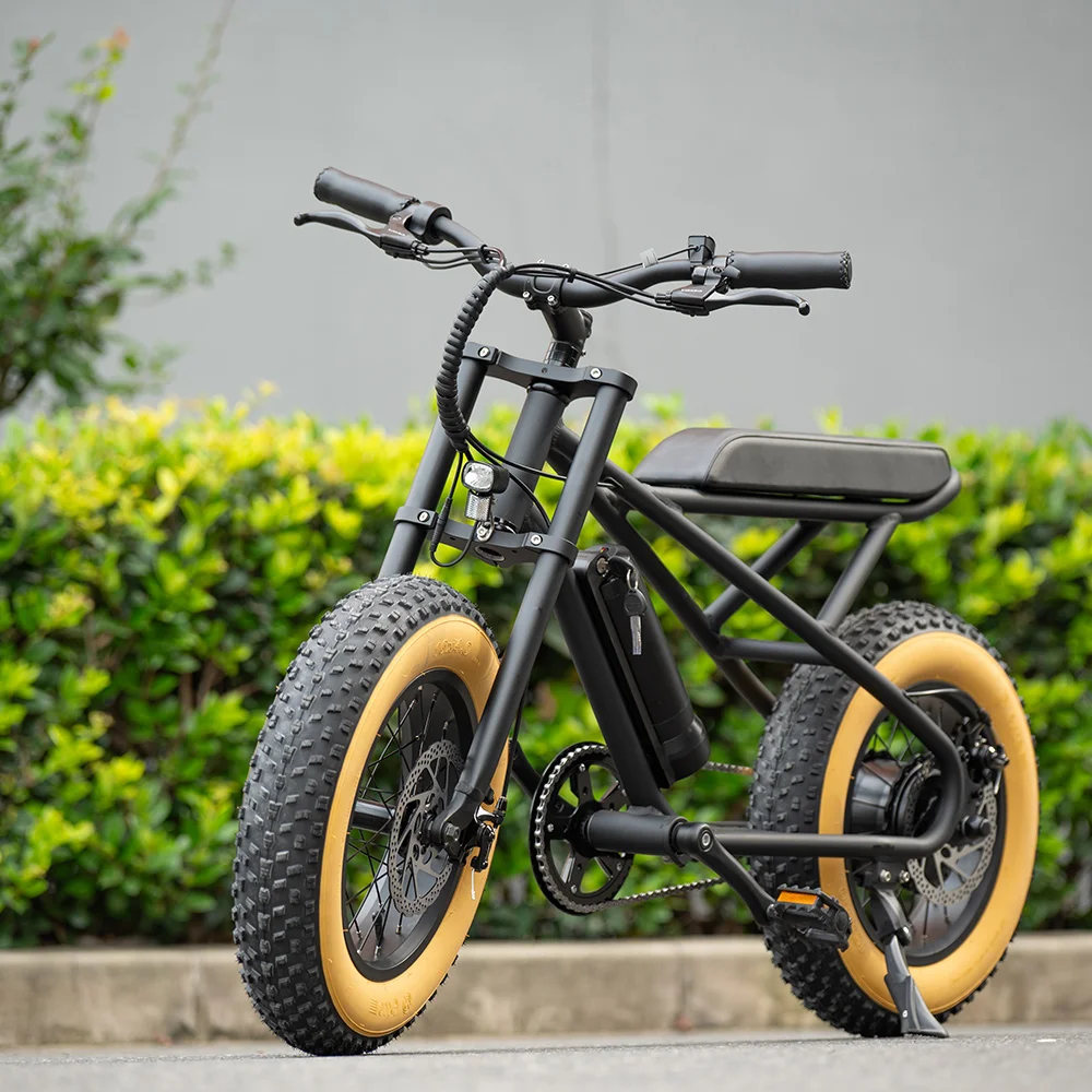 Children's Electric Bike 250W 36V Child's Electric Bicycle 16" Kids Ebike
Children's Electric Bike 250W 36V Child's Electric Bicycle 16" Kids Ebike