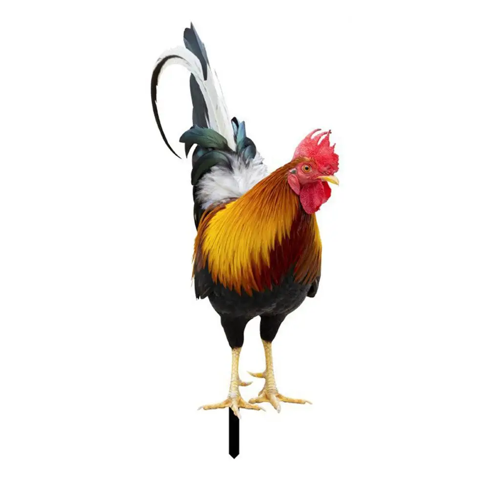 1/2pcs Rooster Outdoor Decorations Charming-Acrylic Rooster Garden Art: For-Durable, Weatherproof & Easily To Install Miniatures
1/2pcs Rooster Outdoor Decorations Charming-Acrylic Rooster Garden Art: For-Durable, Weatherproof & Easily To Install Miniatures