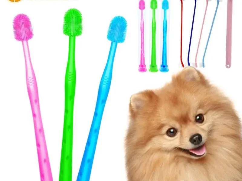 360 ° Dog Cat Toothbrush Pet Puppy Super Soft Nylon Tooth Brush Tartar Cleaning Tongue Coating Remove Bad Breath Tooth Brush
360 ° Dog Cat Toothbrush Pet Puppy Super Soft Nylon Tooth Brush Tartar Cleaning Tongue Coating Remove Bad Breath Tooth Brush