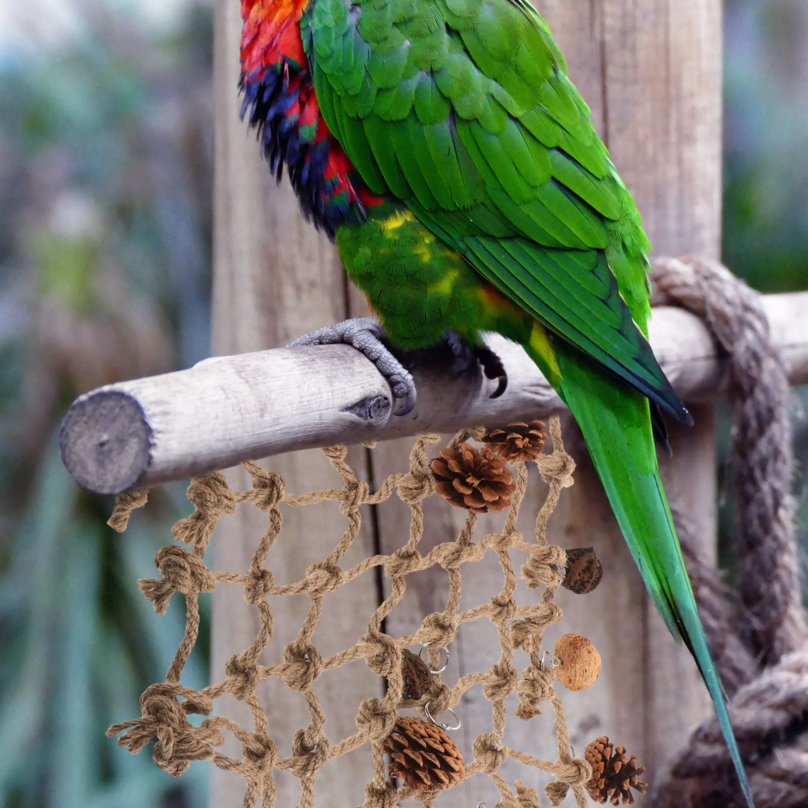 Woven Climbing Net for Bird Parrot Cage Decor Hanging Rope Ladder Chew Resistant Scratch Proof Pet Perch Swing Bed Exercise Fun
Woven Climbing Net for Bird Parrot Cage Decor Hanging Rope Ladder Chew Resistant Scratch Proof Pet Perch Swing Bed Exercise Fun