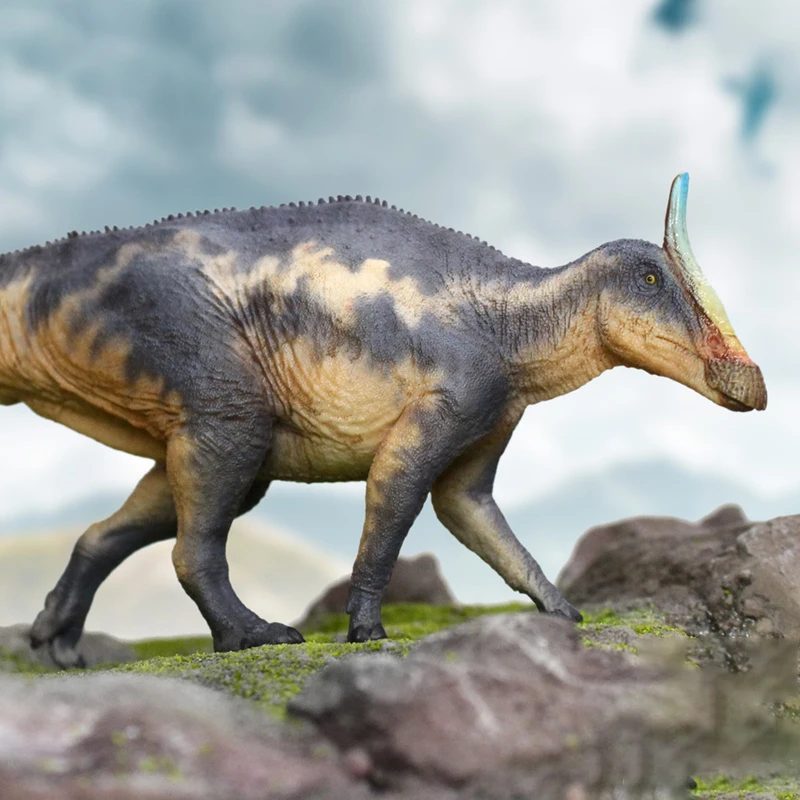 Новый продукт: Детская игрушечная модель в подарок 1/35 Детская когнитивная игрушка Коллекция Модель динозавра Цыхун Сауроischia
Новый продукт: Детская игрушечная модель в подарок 1/35 Детская когнитивная игрушка Коллекция Модель динозавра Цыхун Сауроischia