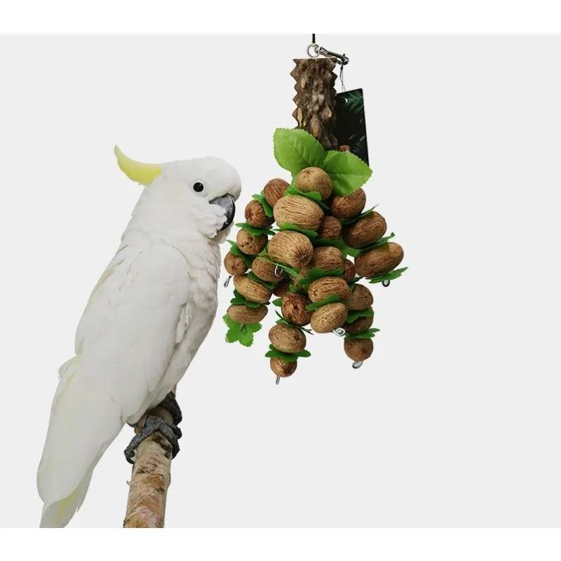 Parrot Nut Bite String Parrot Toy Bite Large Parrot Toy Xuan Feng
Parrot Nut Bite String Parrot Toy Bite Large Parrot Toy Xuan Feng