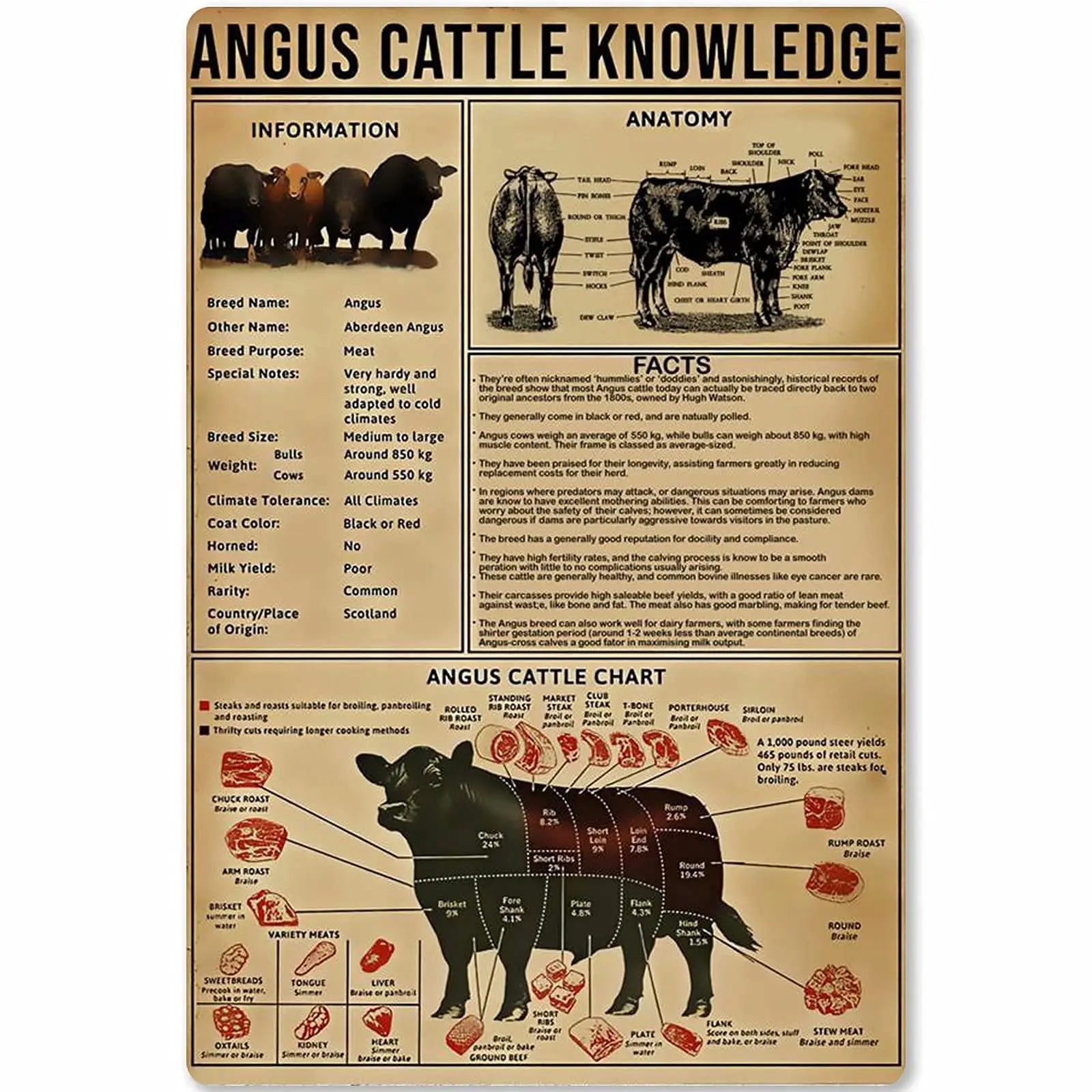 Veidsuh Angus Cattle Knowledge Metal Signs Printed Knowledge Poster Bar Cafe Decor Home Decor Vintage Wall Decor Club Plaques
Veidsuh Angus Cattle Knowledge Metal Signs Printed Knowledge Poster Bar Cafe Decor Home Decor Vintage Wall Decor Club Plaques
