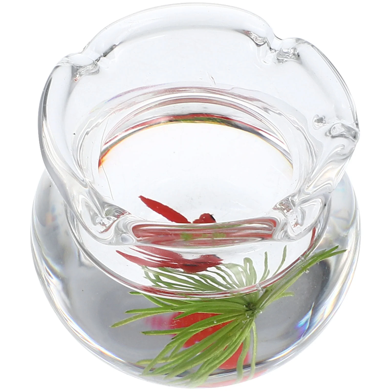 Micro Landscape Glass Fish Tank Bowl with Model The House Decoration Miniature Aquarium Accessories
Micro Landscape Glass Fish Tank Bowl with Model The House Decoration Miniature Aquarium Accessories