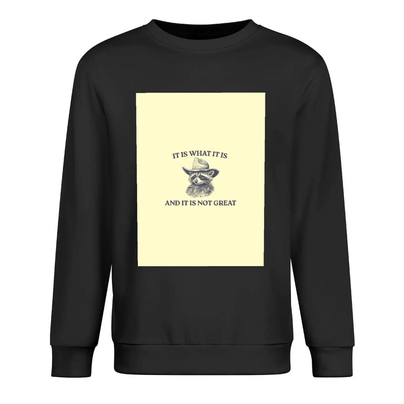 It Is What It Is And It Is Not Great, Memes Pullover men's sweat-shirt set tracksuit men clothes for men new sweatshirts 
It Is What It Is And It Is Not Great, Memes Pullover men's sweat-shirt set tracksuit men clothes for men new sweatshirts