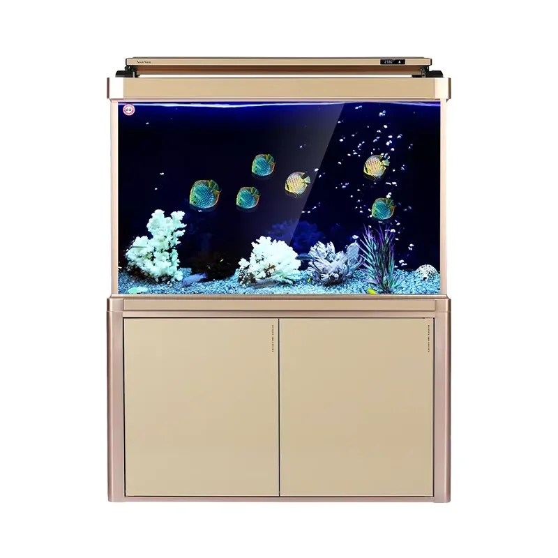 Eco-Friendly Aquarium Equipment for SUNSUN Live Arowana Landscape Glass Fish Tank
Eco-Friendly Aquarium Equipment for SUNSUN Live Arowana Landscape Glass Fish Tank