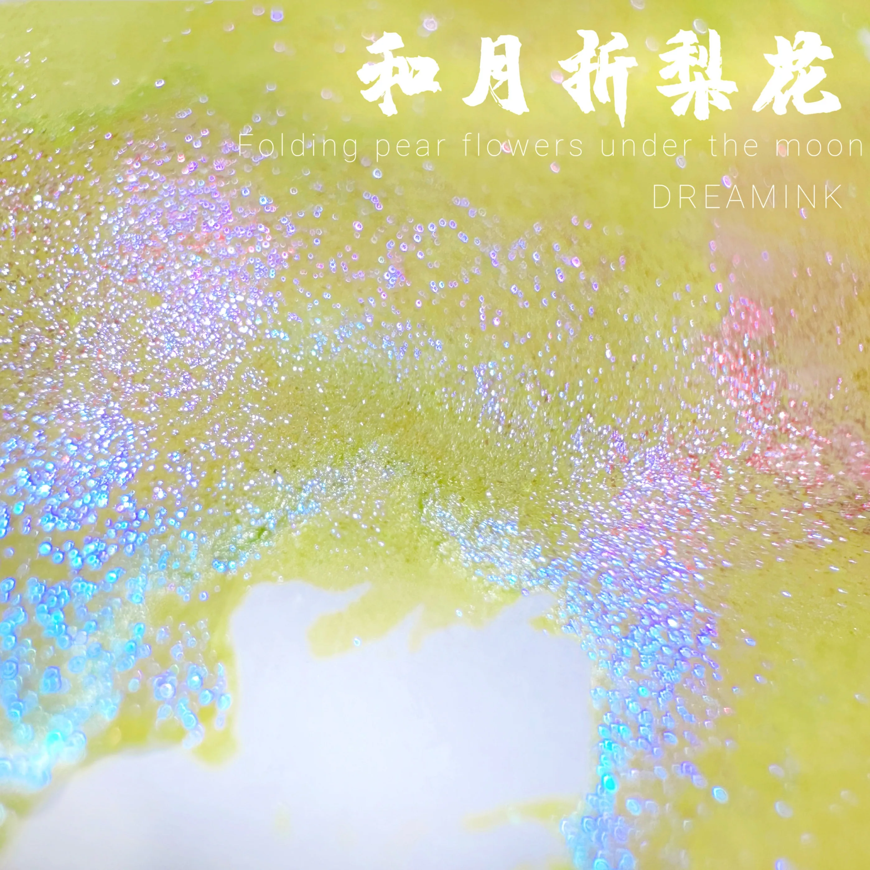 DREAMINK Heyue Lihua Color Sheen Fountain Pen Ink 5/20ml Shimmer Calligraphy Drawing Ink Office School Supplies Stationery
DREAMINK Heyue Lihua Color Sheen Fountain Pen Ink 5/20ml Shimmer Calligraphy Drawing Ink Office School Supplies Stationery
