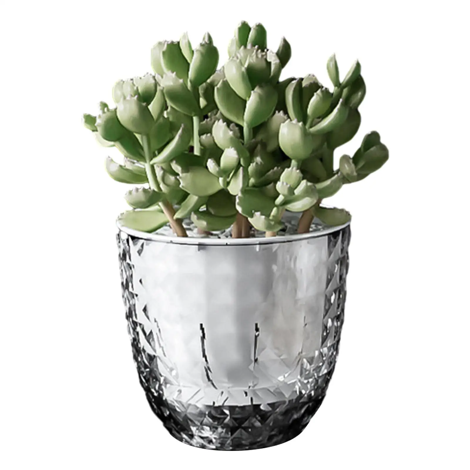 Plant Pot Modern Design Transparent Self Watering Flower Planter Flower Pot for Desk Window Living Room Indoor and Outdoor Table
Plant Pot Modern Design Transparent Self Watering Flower Planter Flower Pot for Desk Window Living Room Indoor and Outdoor Table