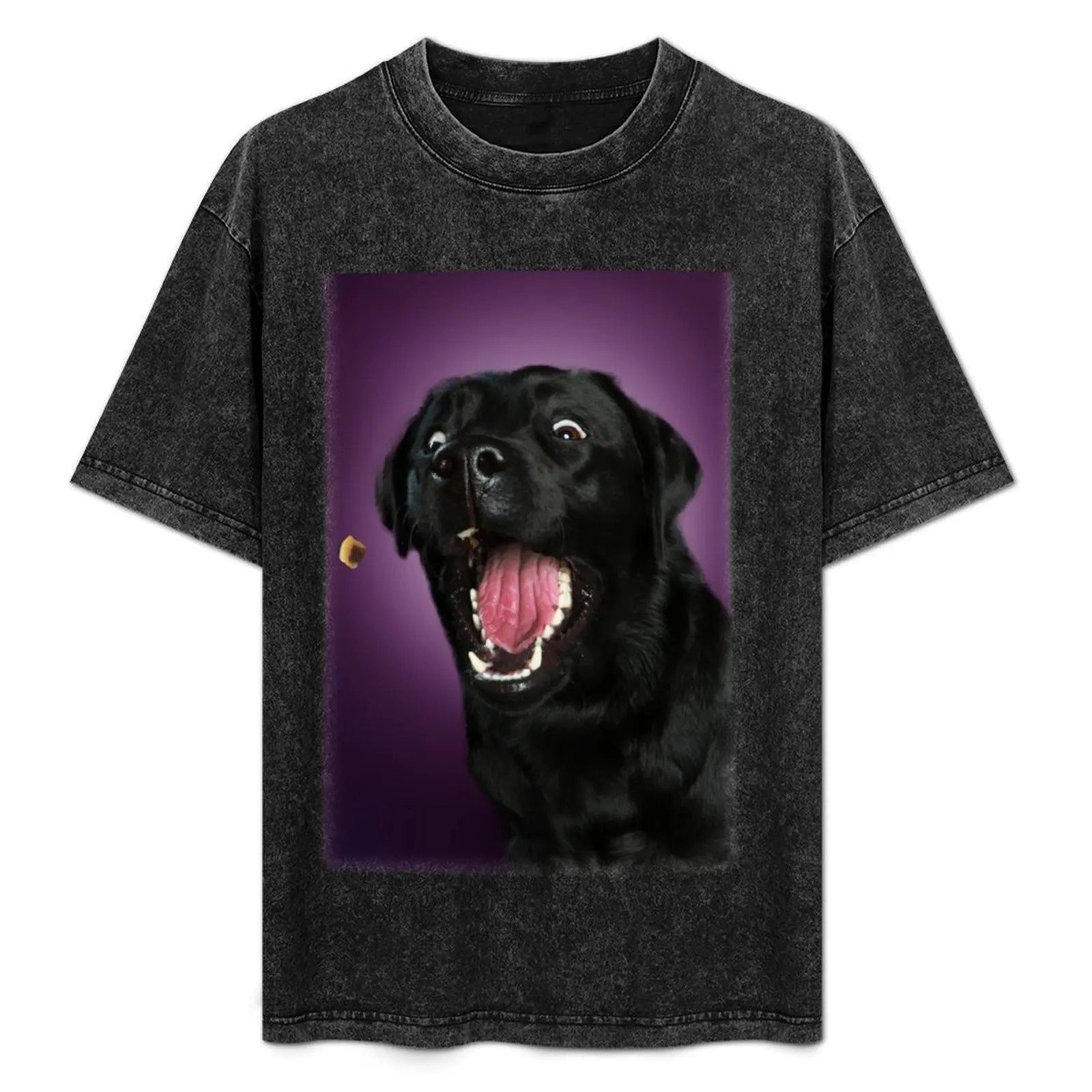 Black labrador catches treats T-Shirt Basic Plain Tee for Spring and Summer
Black labrador catches treats T-Shirt Basic Plain Tee for Spring and Summer