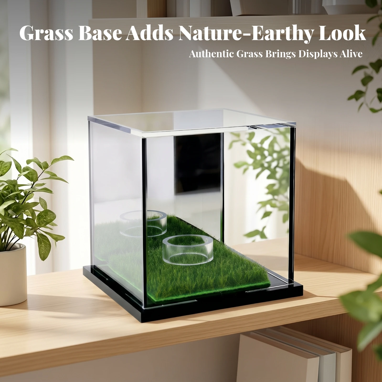 Scratch Resistant Square Grass-Lined Display Case Acrylic Display Case Collectibles Showcase
Scratch Resistant Square Grass-Lined Display Case Acrylic Display Case Collectibles Showcase