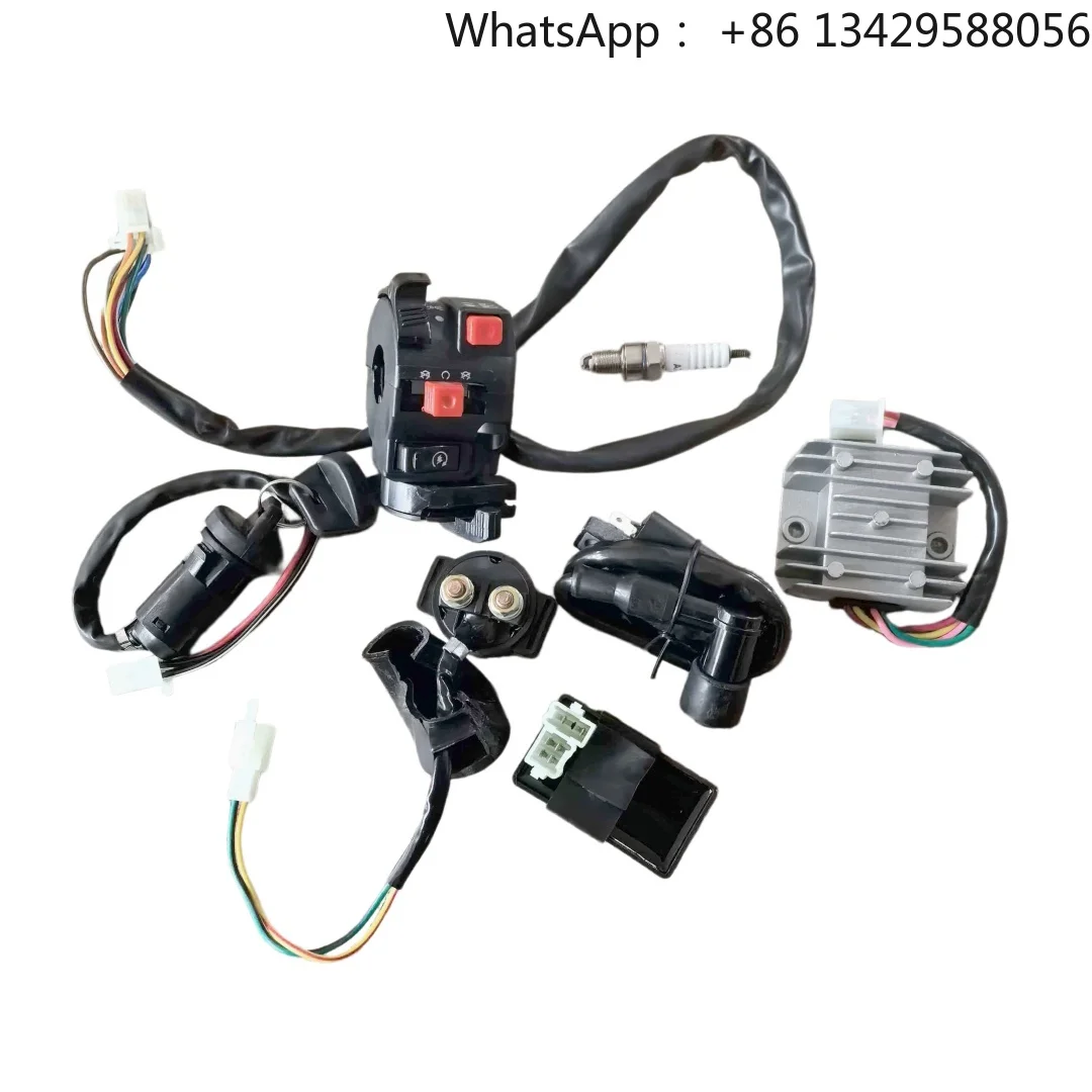 Electrical Part Kit for 200cc 250cc Dirt Bikes and Scooters
Electrical Part Kit for 200cc 250cc Dirt Bikes and Scooters