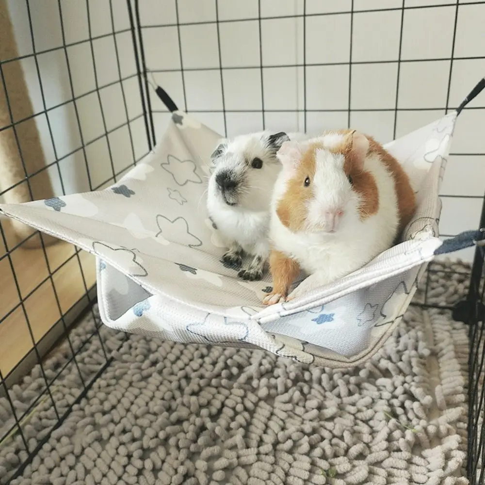 Summer Cooling Pet Hammock Breathable Comfortable Hamster Hanging Beds Easy To Clean Waterproof Squirrel Sleeping Bag
Summer Cooling Pet Hammock Breathable Comfortable Hamster Hanging Beds Easy To Clean Waterproof Squirrel Sleeping Bag
