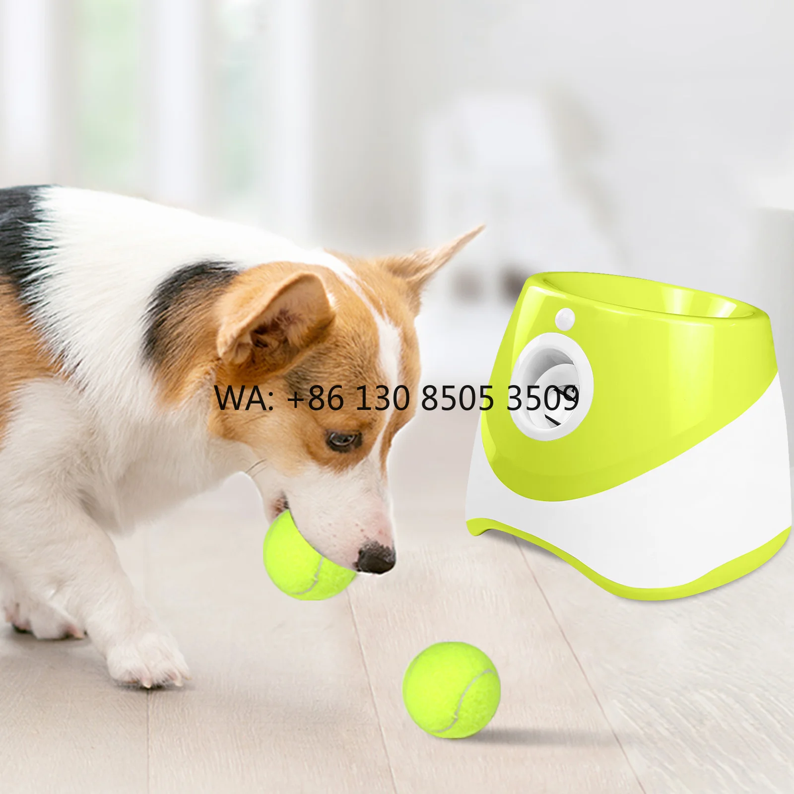 Factory Price Automatic Dog Ball Launcher With 3 PCS Tennis Ball Thrower Distance 10-30ft Interactive Dog Toy for Small Dogs
Factory Price Automatic Dog Ball Launcher With 3 PCS Tennis Ball Thrower Distance 10-30ft Interactive Dog Toy for Small Dogs