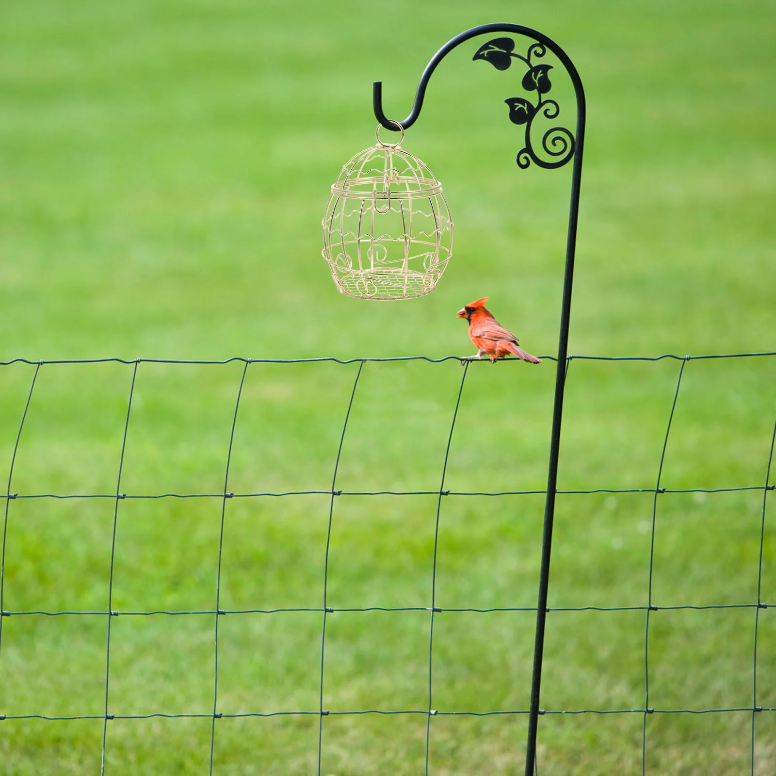 3pcs Bird Feeder Iron Wire Suet Balls Holder Garden Outdoor Feeder Wild Birds Outdoor Decor Lawn Yard Pet Supplies
3pcs Bird Feeder Iron Wire Suet Balls Holder Garden Outdoor Feeder Wild Birds Outdoor Decor Lawn Yard Pet Supplies