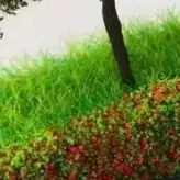 2 шт., имитация материалов «сделай сам», травяной забор, кустарные полоски, зеленый песочный стол, миниатюрная модель для наружного дома, здания, диорама
2 шт., имитация материалов «сделай сам», травяной забор, кустарные полоски, зеленый песочный стол, миниатюрная модель для наружного дома, здания, диорама