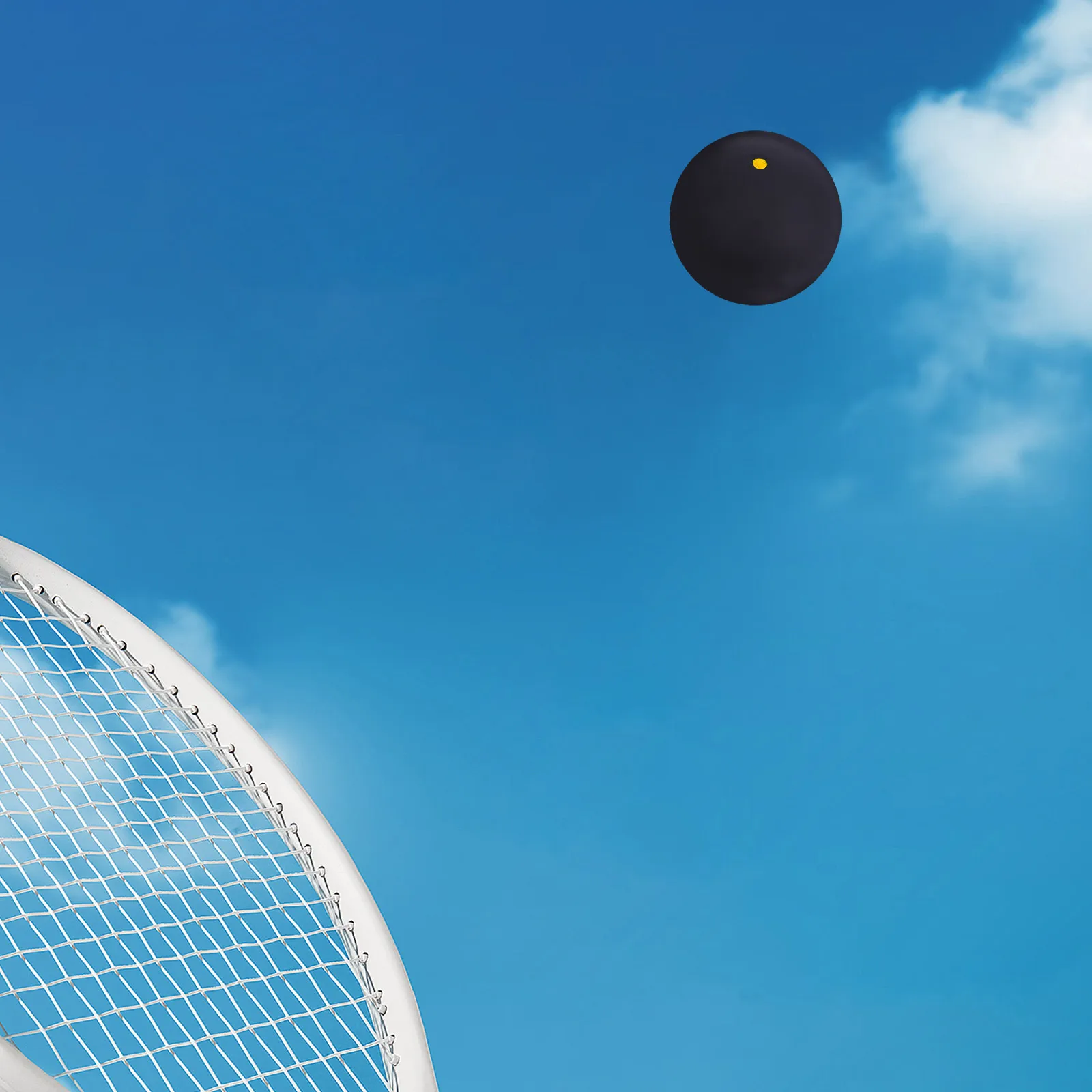 Universal Squash Lightweight Racket Ball Black Rubber Baseball Training Equipment
Universal Squash Lightweight Racket Ball Black Rubber Baseball Training Equipment