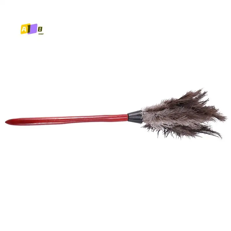 A08F-Ostrich Чистящая тряпка из перьев, тряпка из страусиных перьев, тряпка из мягких перьев, тряпка из мебели для веерочных лезвий
A08F-Ostrich Чистящая тряпка из перьев, тряпка из страусиных перьев, тряпка из мягких перьев, тряпка из мебели для веерочных лезвий