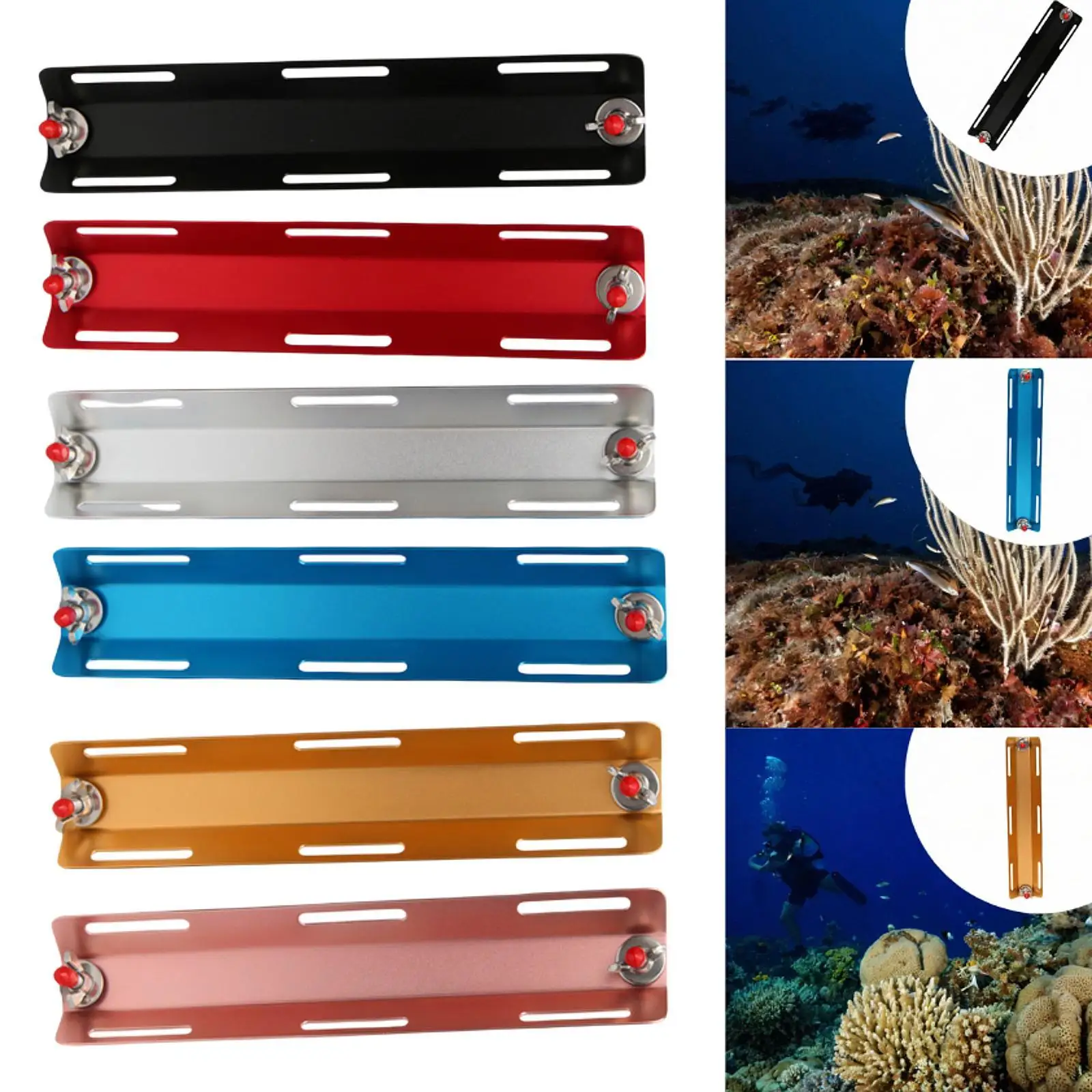 Scuba Diving Back Frame,Single for Tank Adapter,Lightweight Aluminum Enhanced Efficiency Matt with Screw for Water Sports
Scuba Diving Back Frame,Single for Tank Adapter,Lightweight Aluminum Enhanced Efficiency Matt with Screw for Water Sports