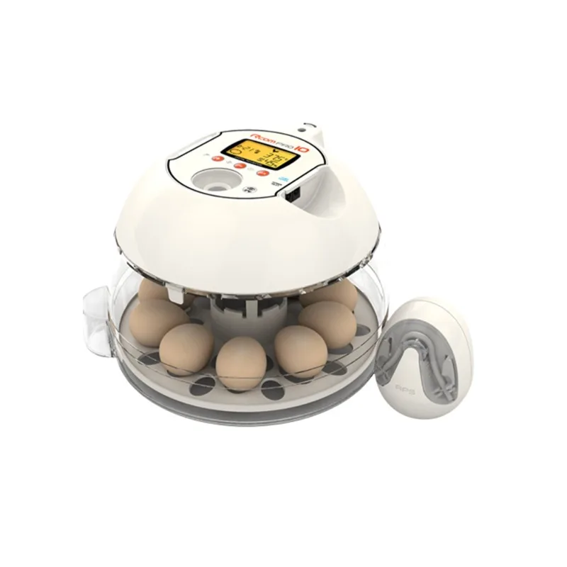 Incubation incubator Car parrot incubator Bird brooding constant temperature and humidity incubator
Incubation incubator Car parrot incubator Bird brooding constant temperature and humidity incubator