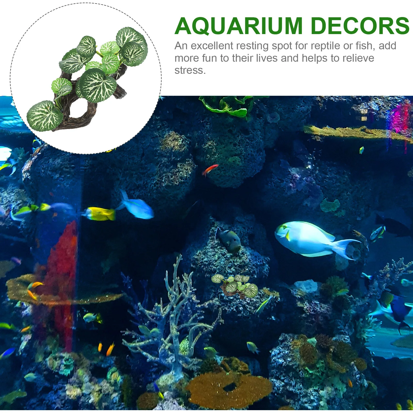 Reptile Tank Simulation Plant Decoration Vivid Lifelike Artificial Ornament for Aquarium and Terrarium Use Reptile Tank Plant
Reptile Tank Simulation Plant Decoration Vivid Lifelike Artificial Ornament for Aquarium and Terrarium Use Reptile Tank Plant